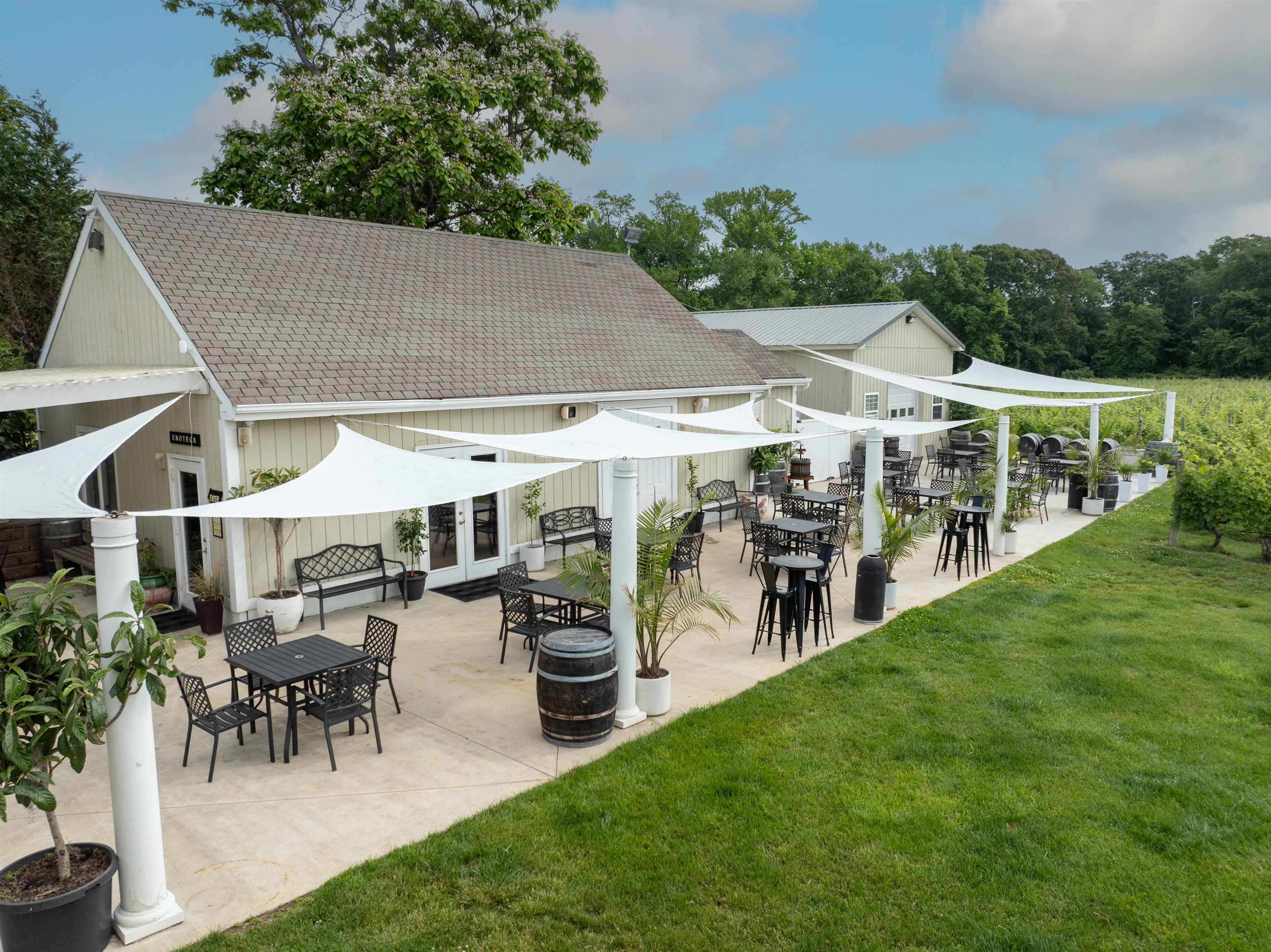 Things To Do Turdo Vineyards